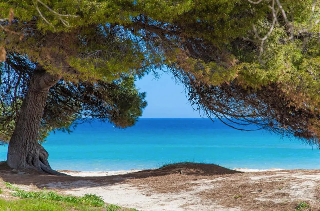 Apartment Countess Garden 2-1, Sun Of The Bay Vidalba 1, At Alcudia Beach 阿尔库迪亚港 西班牙